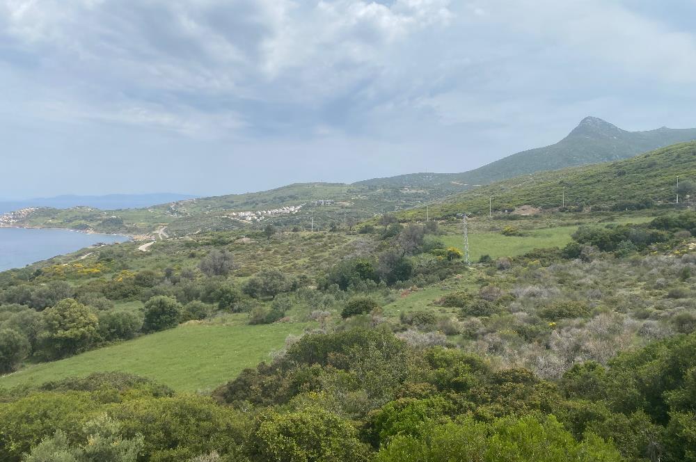 Karaburun da kapanmaz deniz manzaralı Tarla