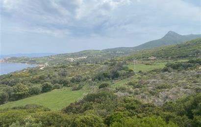 Karaburun da kapanmaz deniz manzaralı Tarla