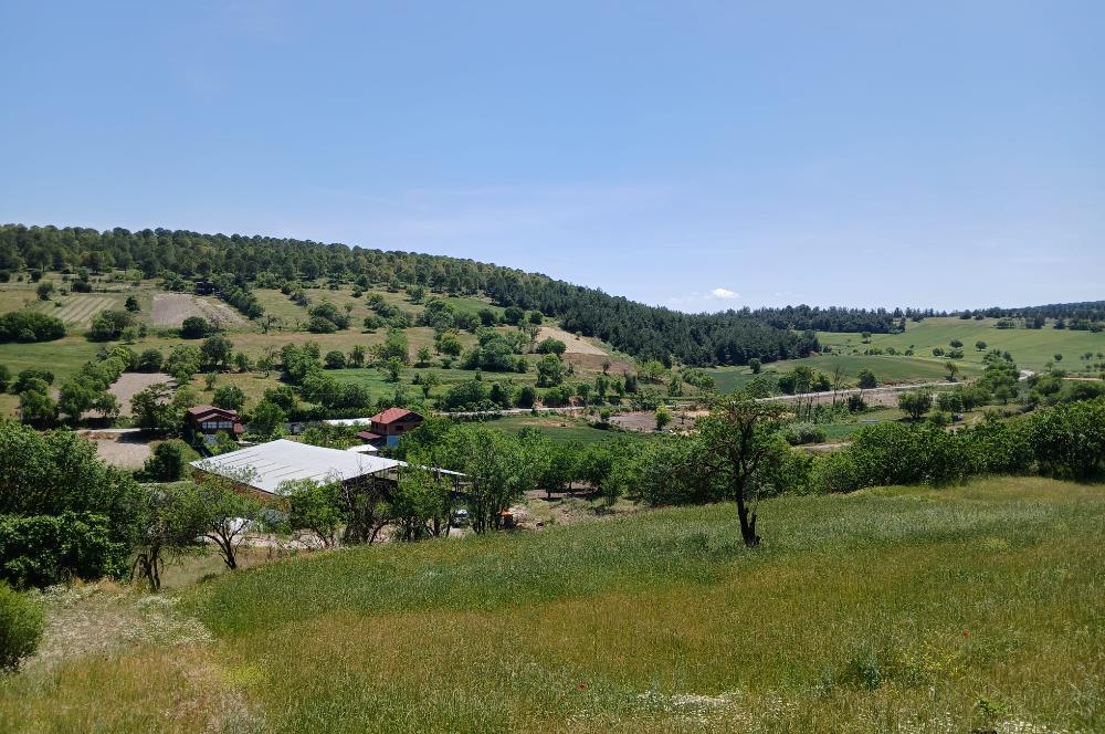 C21 LOCA'DAN BALIKESİR ESENLİ'DE SATILIK 892m2 HOBİ BAHÇELİK BAĞ