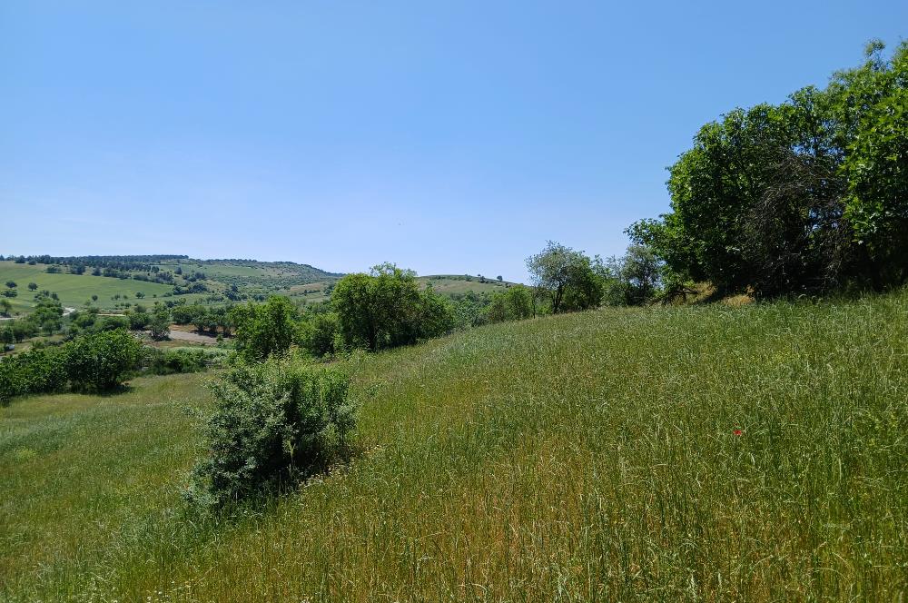 C21 LOCA'DAN BALIKESİR ESENLİ'DE SATILIK 892m2 HOBİ BAHÇELİK BAĞ