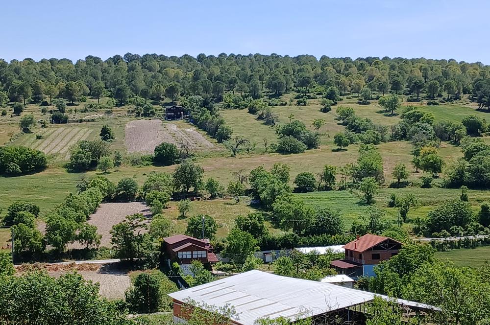 C21 LOCA'DAN BALIKESİR ESENLİ'DE SATILIK 892m2 HOBİ BAHÇELİK BAĞ