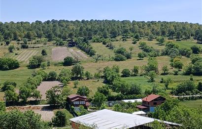 C21 LOCA'DAN BALIKESİR ESENLİ'DE SATILIK 892m2 HOBİ BAHÇELİK BAĞ