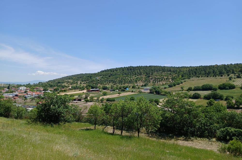 C21 LOCA'DAN BALIKESİR ESENLİ'DE SATILIK 892m2 HOBİ BAHÇELİK BAĞ