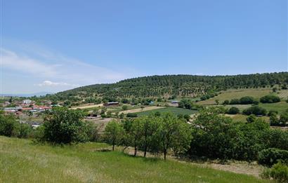 C21 LOCA'DAN BALIKESİR ESENLİ'DE SATILIK 892m2 HOBİ BAHÇELİK BAĞ