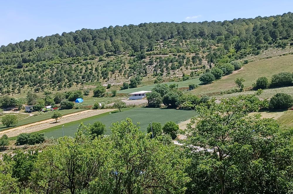 C21 LOCA'DAN BALIKESİR ESENLİ'DE SATILIK 892m2 HOBİ BAHÇELİK BAĞ