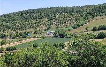 C21 LOCA'DAN BALIKESİR ESENLİ'DE SATILIK 892m2 HOBİ BAHÇELİK BAĞ