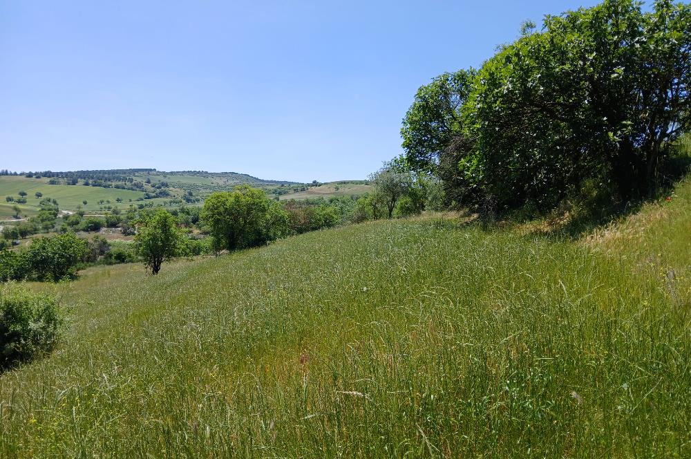 C21 LOCA'DAN BALIKESİR ESENLİ'DE SATILIK 892m2 HOBİ BAHÇELİK BAĞ