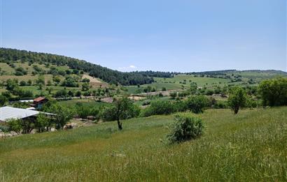 C21 LOCA'DAN BALIKESİR ESENLİ'DE SATILIK 892m2 HOBİ BAHÇELİK BAĞ