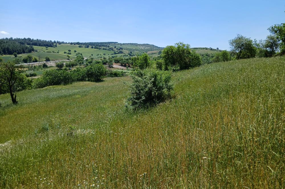 C21 LOCA'DAN BALIKESİR ESENLİ'DE SATILIK 892m2 HOBİ BAHÇELİK BAĞ