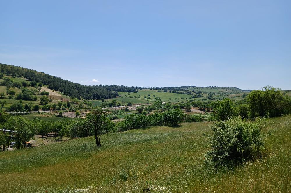 C21 LOCA'DAN BALIKESİR ESENLİ'DE SATILIK 892m2 HOBİ BAHÇELİK BAĞ