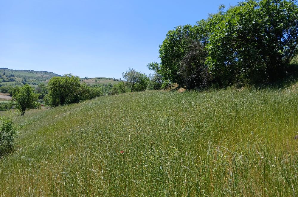 C21 LOCA'DAN BALIKESİR ESENLİ'DE SATILIK 892m2 HOBİ BAHÇELİK BAĞ