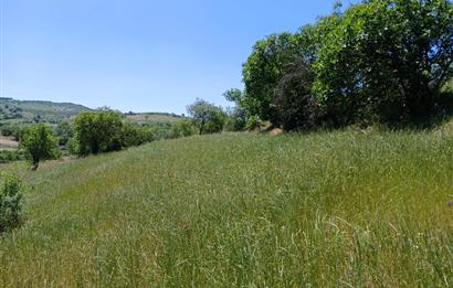 C21 LOCA'DAN BALIKESİR ESENLİ'DE SATILIK 892m2 HOBİ BAHÇELİK BAĞ