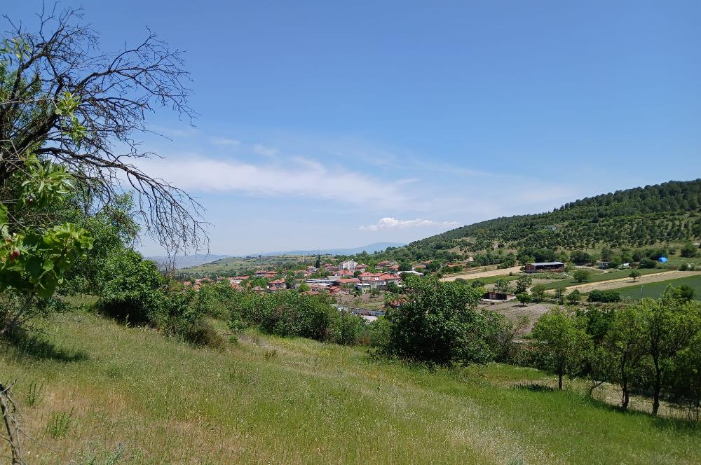 C21 LOCA'DAN BALIKESİR ESENLİ'DE SATILIK 892m2 HOBİ BAHÇELİK BAĞ