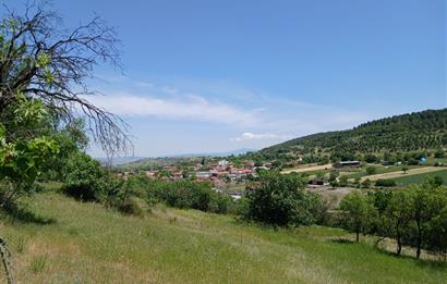 C21 LOCA'DAN BALIKESİR ESENLİ'DE SATILIK 892m2 HOBİ BAHÇELİK BAĞ
