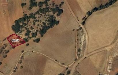 KONYA BOZKIR AYVALCA'DA 677m² SATILIK TARLA