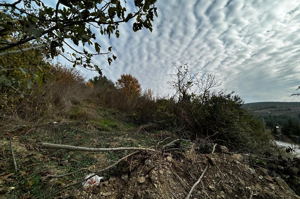 C21 Cius; Umurbey'de Yola Cephe Yatırımlık Satılık Tarla
