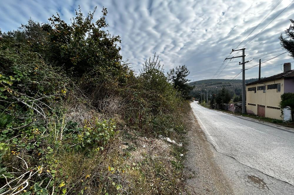 C21 Cius; Umurbey'de Yola Cephe Yatırımlık Satılık Tarla