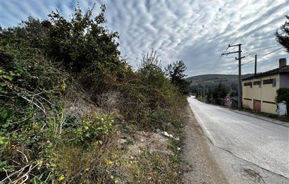 C21 Cius; Umurbey'de Yola Cephe Yatırımlık Satılık Tarla