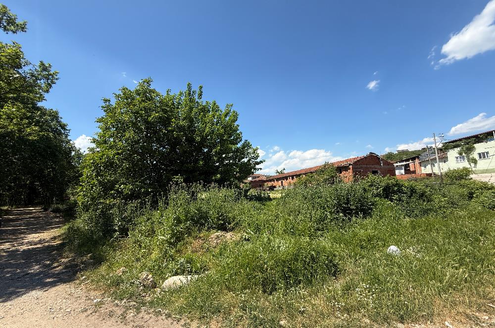 CENTURY21 BAL'DAN BURSA M.KEMAL PAŞA BOSTANDERE'DE SATILIK ARSA