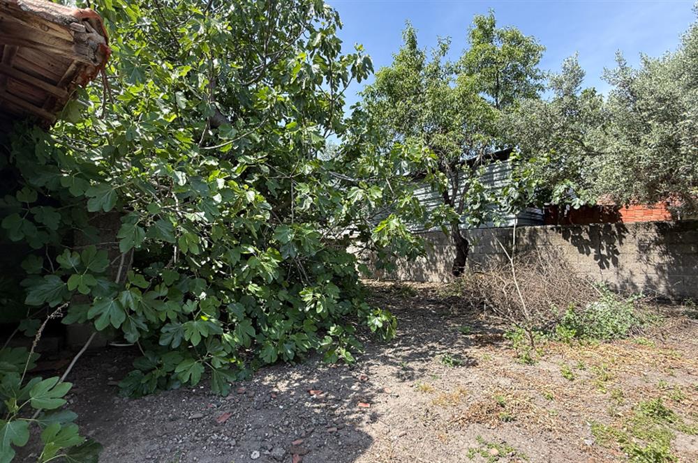 MANYAS GÖLÜNE 3,4 KM MESAFEDE, KUŞ CENNETİNİN KARŞI KIYISINDA DOĞAL YAŞAM KONSEPTİ