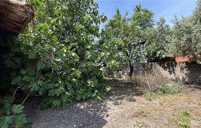 MANYAS GÖLÜNE 3,4 KM MESAFEDE, KUŞ CENNETİNİN KARŞI KIYISINDA DOĞAL YAŞAM KONSEPTİ