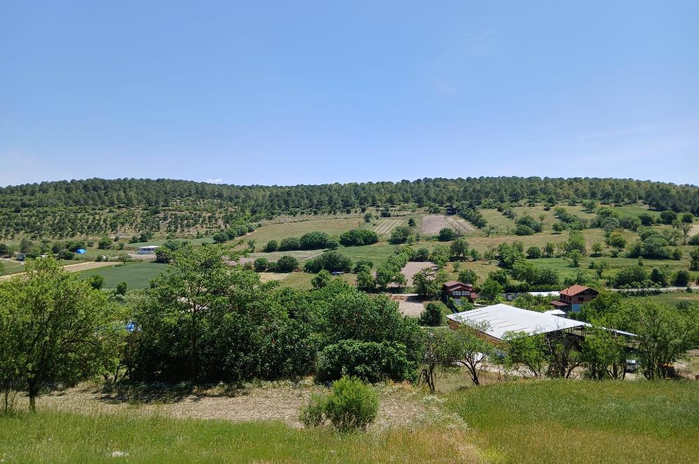 C21 LOCA'DAN BALIKESİR ESENLİ'DE SATILIK 892m2 HOBİ BAHÇELİK BAĞ