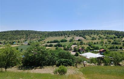 C21 LOCA'DAN BALIKESİR ESENLİ'DE SATILIK 892m2 HOBİ BAHÇELİK BAĞ