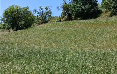 C21 LOCA'DAN BALIKESİR ESENLİ'DE SATILIK 892m2 HOBİ BAHÇELİK BAĞ
