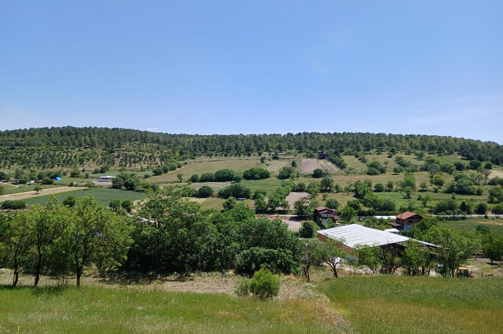 C21 LOCA'DAN BALIKESİR ESENLİ'DE SATILIK 892m2 HOBİ BAHÇELİK BAĞ