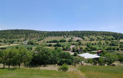C21 LOCA'DAN BALIKESİR ESENLİ'DE SATILIK 892m2 HOBİ BAHÇELİK BAĞ