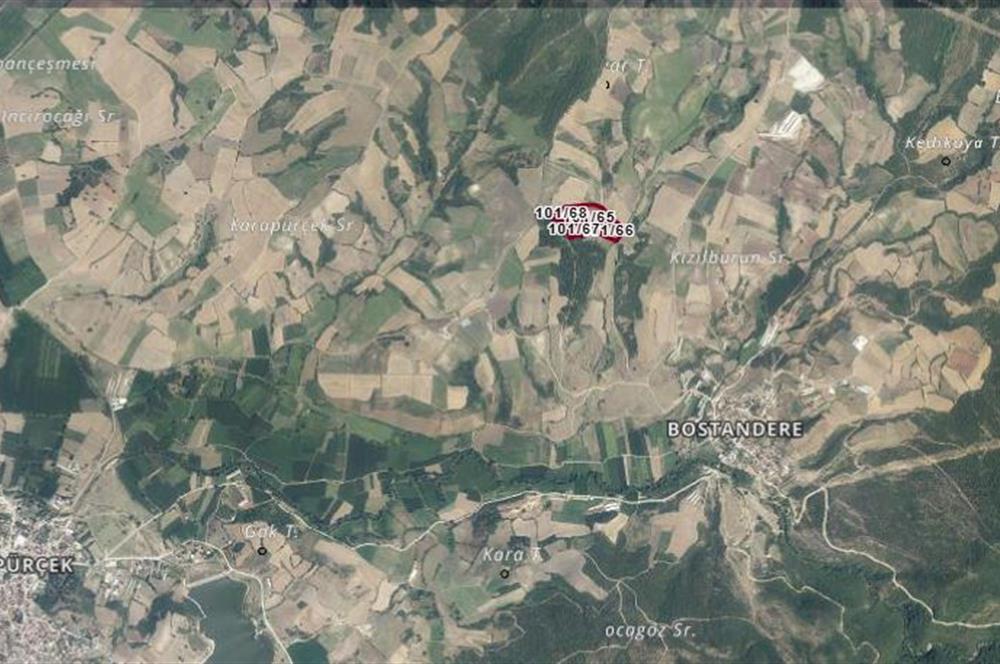 CENTURY21 BAL'DAN BURSA M.KEMALPAŞA BOSTANDERE'DE SATILIK TARLA