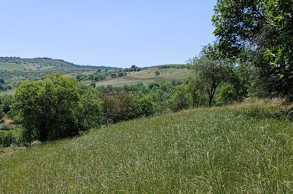 C21 LOCA'DAN BALIKESİR ESENLİ'DE SATILIK 892m2 HOBİ BAHÇELİK BAĞ