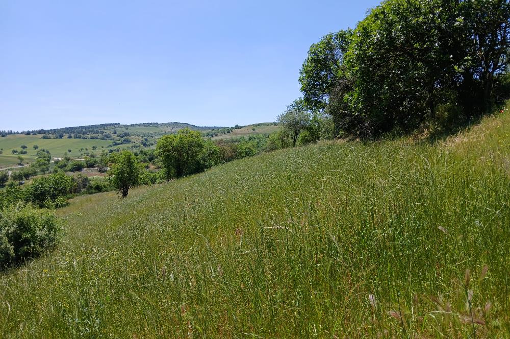 C21 LOCA'DAN BALIKESİR ESENLİ'DE SATILIK 892m2 HOBİ BAHÇELİK BAĞ