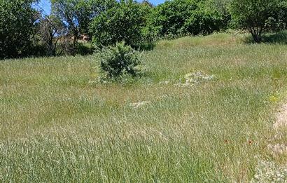 C21 LOCA'DAN BALIKESİR ESENLİ'DE SATILIK 892m2 HOBİ BAHÇELİK BAĞ