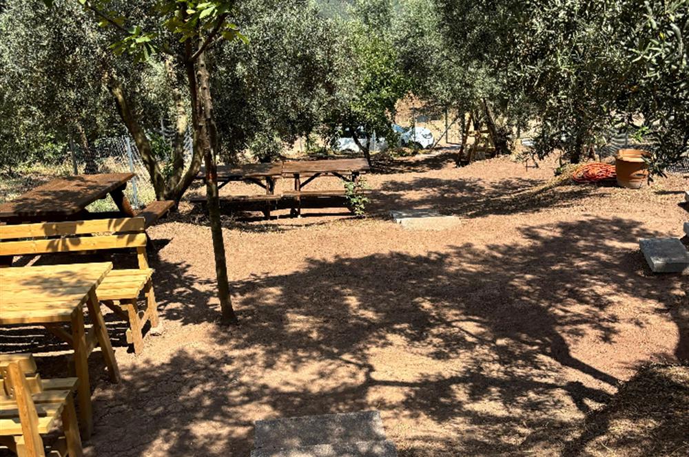 C21 Cius; Fiyat Düştü Yeni Köyde Satılık Bakımlı Hobi Bahçesi