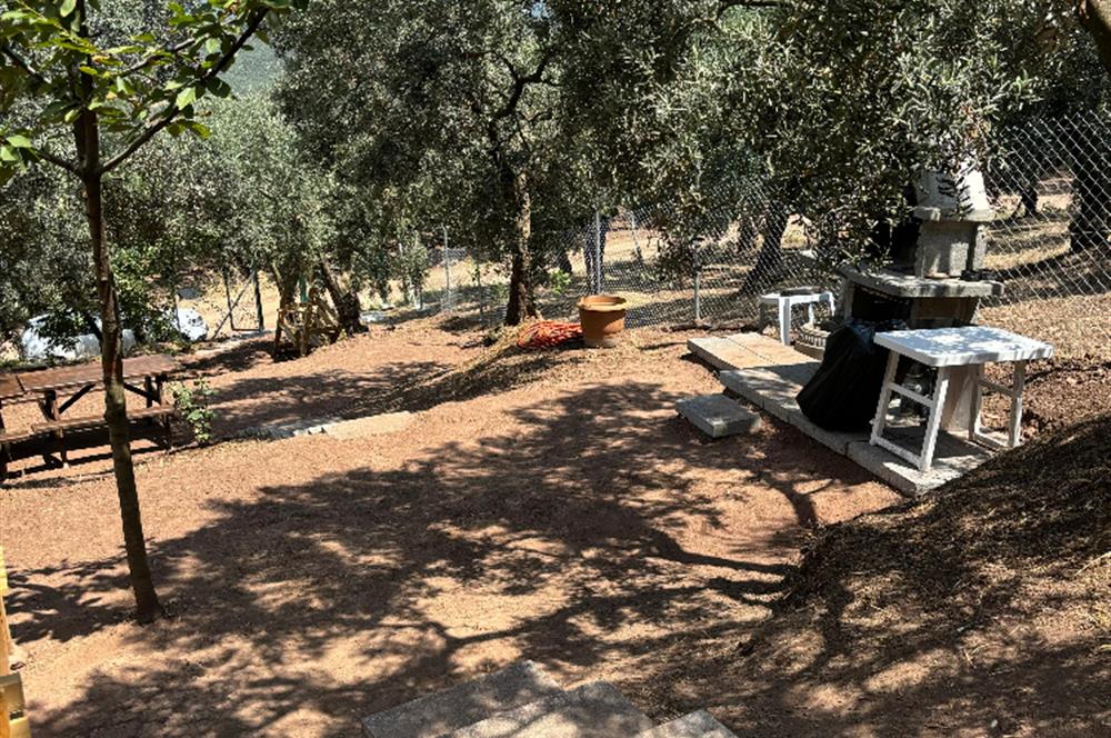 C21 Cius; Fiyat Düştü Yeni Köyde Satılık Bakımlı Hobi Bahçesi