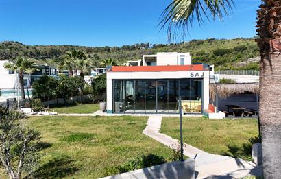 ORTAKENTTE TÜM TİCARİ RUHSATLARI 0LAN BEACH