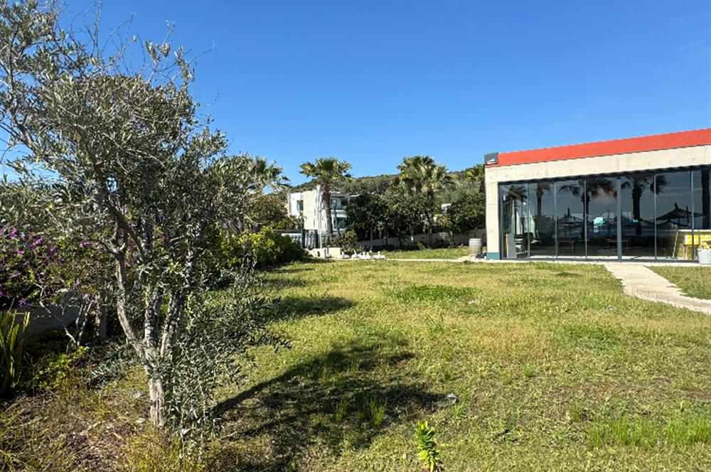 ORTAKENTTE TÜM TİCARİ RUHSATLARI 0LAN BEACH