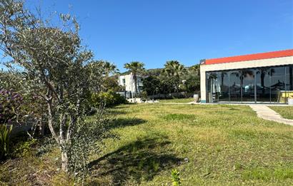 ORTAKENTTE TÜM TİCARİ RUHSATLARI 0LAN BEACH
