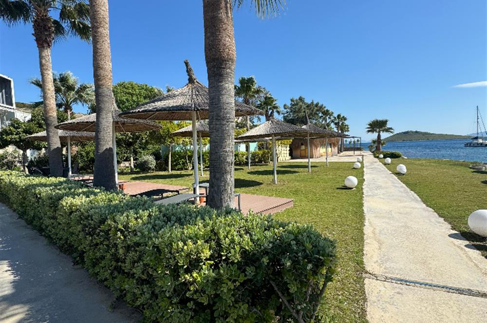 ORTAKENTTE TÜM TİCARİ RUHSATLARI 0LAN BEACH