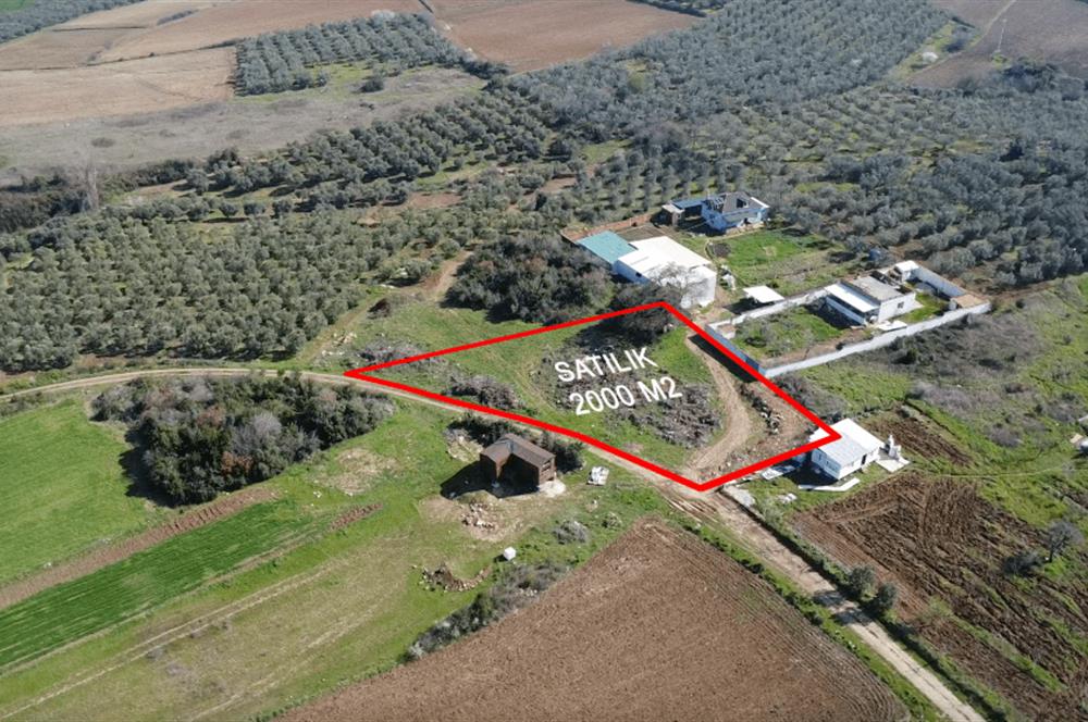 C21 Cius; Mudanya Söğütpınar Mah. 2000 m2 Satılık Tarla