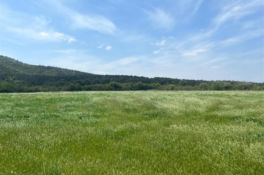 CENTURY 21BAL'DAN BALIKESİR SUSURLUK KARAPÜRÇEK'TE SATILIK TARLA