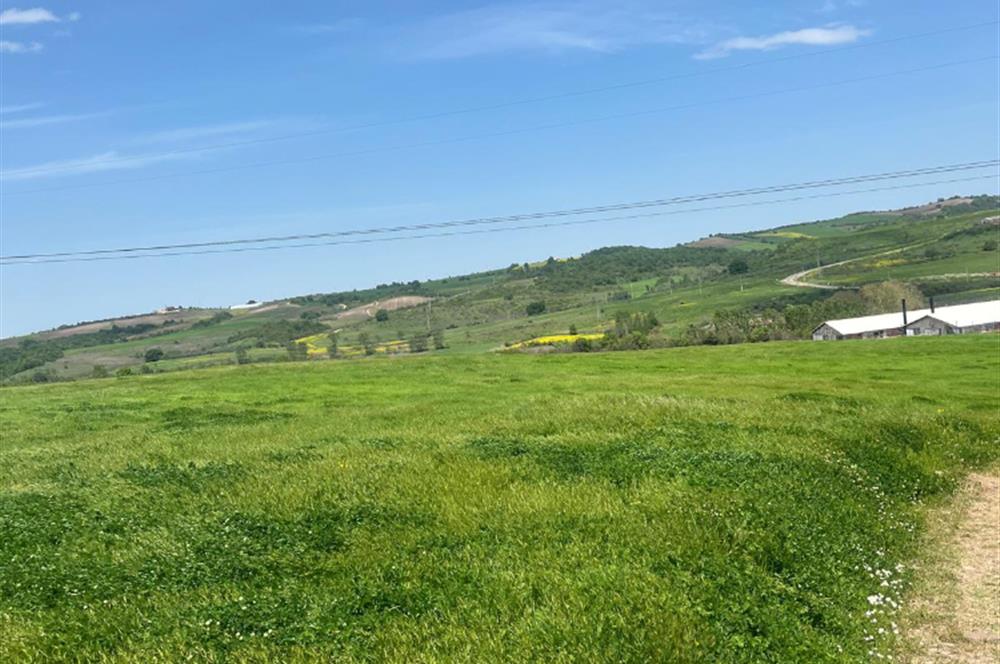 CENTURY 21BAL'DAN BALIKESİR SUSURLUK KARAPÜRÇEK'TE SATILIK TARLA