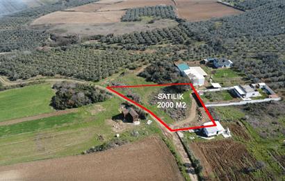 C21 Cius; Mudanya Söğütpınar Mah. 2000 m2 Satılık Tarla