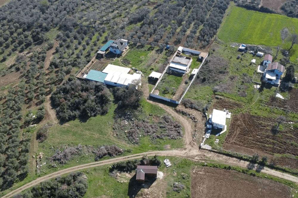 C21 Cius; Mudanya Söğütpınar Mah. 2000 m2 Satılık Tarla
