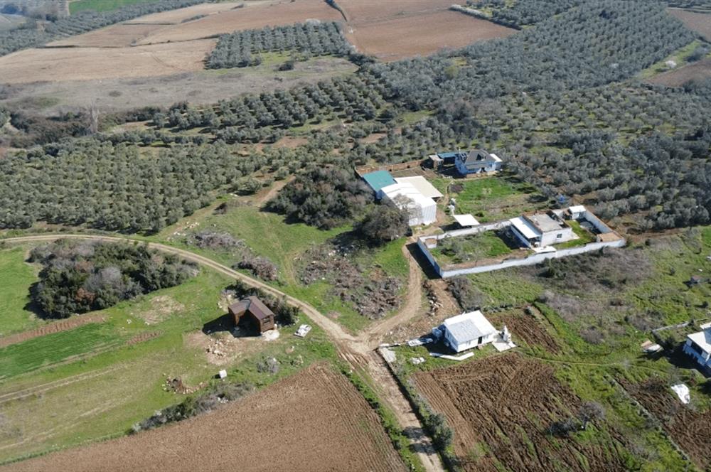 C21 Cius; Mudanya Söğütpınar Mah. 2000 m2 Satılık Tarla