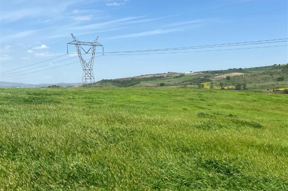 CENTURY 21BAL'DAN BALIKESİR SUSURLUK KARAPÜRÇEK'TE SATILIK TARLA