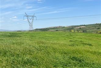 CENTURY 21BAL'DAN BALIKESİR SUSURLUK KARAPÜRÇEK'TE SATILIK TARLA