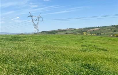 CENTURY 21BAL'DAN BALIKESİR SUSURLUK KARAPÜRÇEK'TE SATILIK TARLA