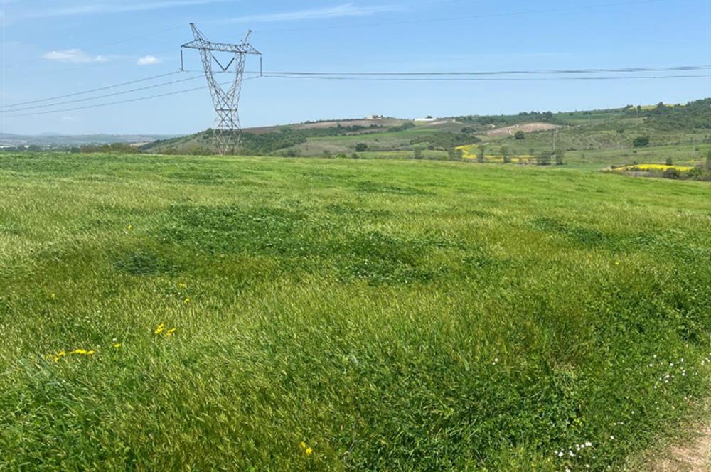 CENTURY 21BAL'DAN BALIKESİR SUSURLUK KARAPÜRÇEK'TE SATILIK TARLA